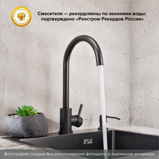 Смеситель для кухни РМС SUS124BLK-017F чёрный